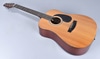 Acoustic Guitar; Dixon