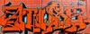 Orange Graffiti Wall Component  2’X10’