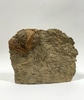 Stone-9