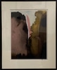 Chasm 1