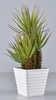 Faux Potted Succulent