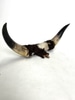 Black and Ivory Buffalo Horn