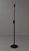 Microphone with Gooseneck Floor Stand