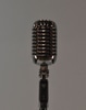 Microphone with Gooseneck Floor Stand