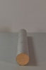 Rain Stick