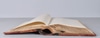 Leather Bound Tome Ledger