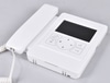 Wall Mounting Intercom with Display Screen; Model DT243/D4