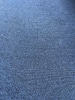 Blue Carpet 12' x 19'