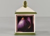 Square Ceramic Canister w/Fig Motif and Lid