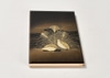Telephone & Address Contact Book w/ Quail Motif on Cover
