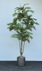 Artificial Mahogany Tree