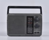 Portable AM/FM Radio with Plug; Optimus