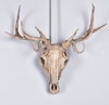 Faux Beast Skull w/ Antlers