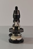 Microscope: Bausch & Lomb