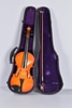Violin w/ Bow in Hard Case