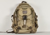 Green 'Royal Mountain' Backpack