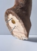 Deer Taxidermy w/ Four Point Antlers Shoulder Mount