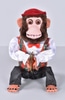 Charley Chimp
