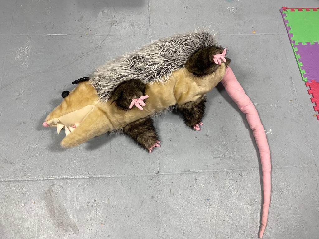 Nine foot plush store possum