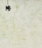 Plaster Surface in Spotty Green