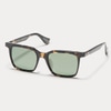 Article One Park TORT Tortoise 52-18