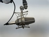 Neumann TLM 103 Microphone