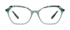 OGI Bullseye SEA Seaglass Tortoise 52-16