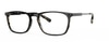 Seraphin Randolph BLK Black Tortoise 54-17