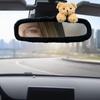 Rear View Mirror Bear