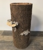 Natural Wood Cylinder C