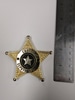 Deputy Sheriff Badge prop for rent