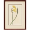 Botanical in Dark Wood Frame 4