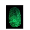 Fingerprint Powder , GREENescent Fluorescent Latent Powder