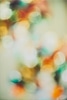 Bokeh I
