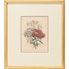 The Ladies Flower Garden: Annuals with Plum Trim Mat 3