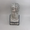 Phrenology Bust