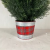 Potted cypress tree Christmas Tree