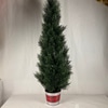 Potted cypress tree Christmas Tree