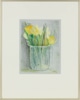 Daffodils and Tulips