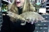 Taxidermy Turtle, Mouth Open