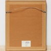 Antique Rose Botanical Print 10
