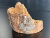 Tree Trunk Stump Chunk