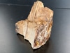 Tree Trunk Stump Chunk