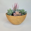 Sandstone Planter