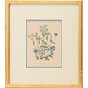 Blue Botanicals 2