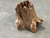 Mini Tree Stump, Hollow Center