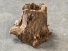 Mini Tree Stump, Hollow Center