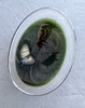 Small Oval Dish with Green Center