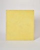 PL059 - Plaster Surface in Lemon Yellow
