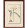Botanical in Dark Wood Frame 1